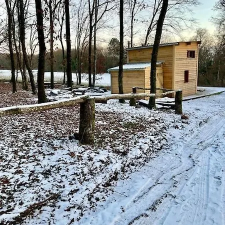 En Foret La Mechta Bologne