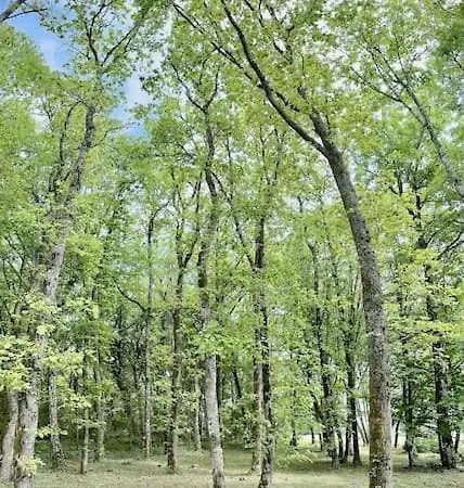 En Foret La Mechta Holiday home Bologne